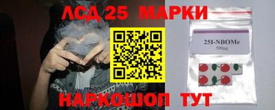 крисы Кинель