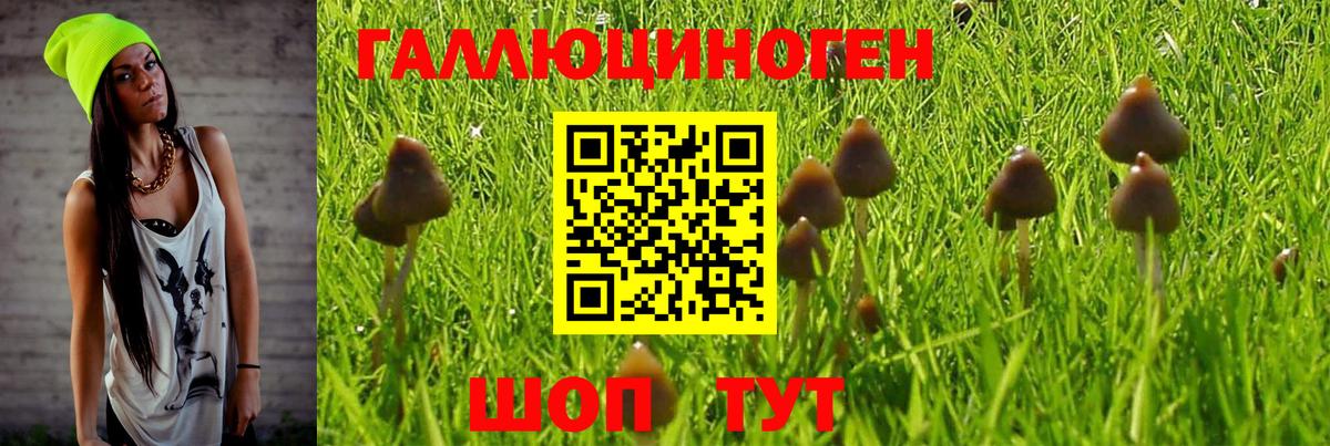 Галлюциногенные грибы мицелий  Вход с VPN  Каспийск 