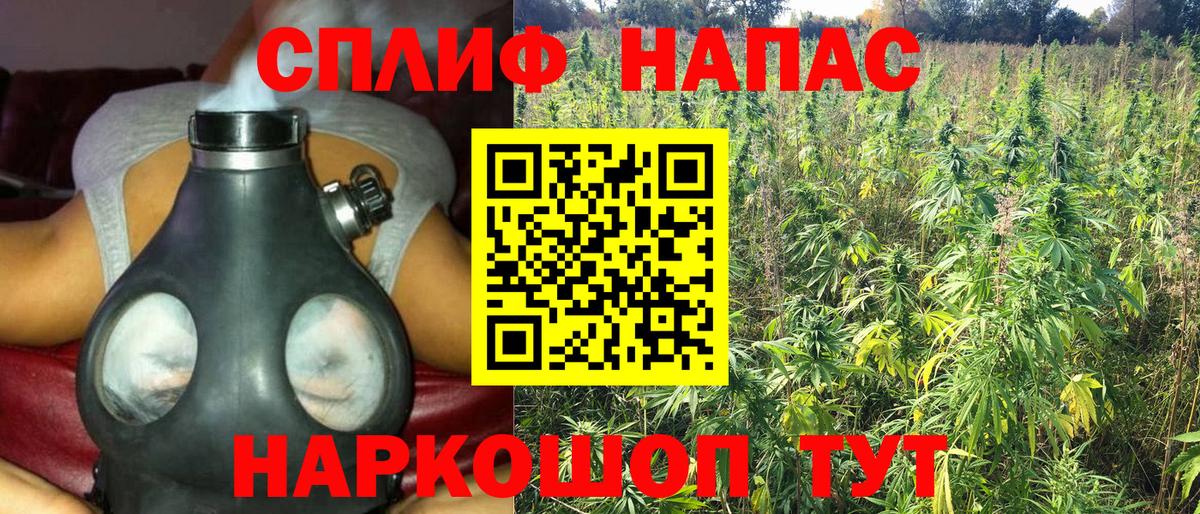 Канабис планчик  Бошки Шишки Ganja  Конопля LSD WEED  Каспийск  Вход с VPN 